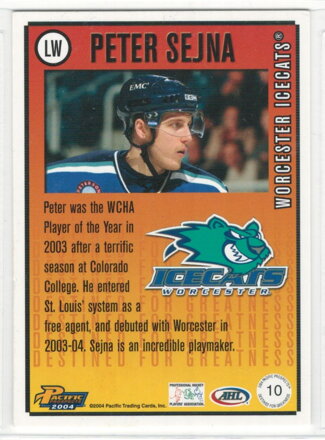 2003-04 Pacific AHL Prospects Destined for Greatness č. 10 Peter Sejna RC