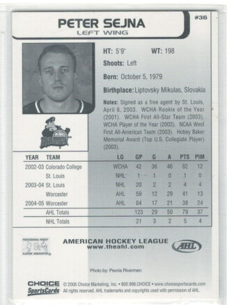 2005-2006 AHL Top Prospects č. 36 Peter Sejna