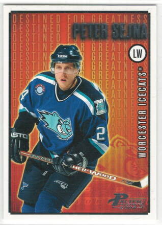 2003-04 Pacific AHL Prospects Destined for Greatness č. 10 Peter Sejna RC